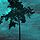 卡萨布兰卡